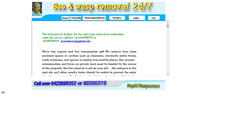 Desktop Screenshot of beewaspremoval.com